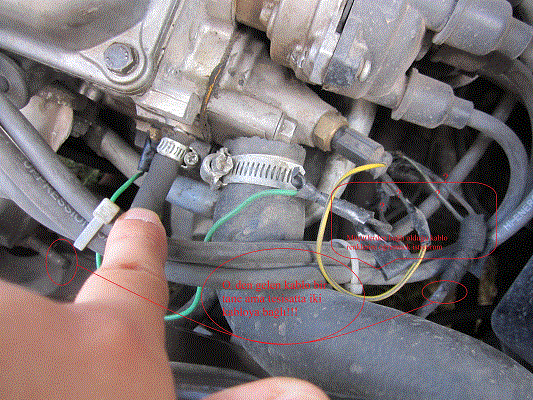post-437-141695294397_thumb.gif