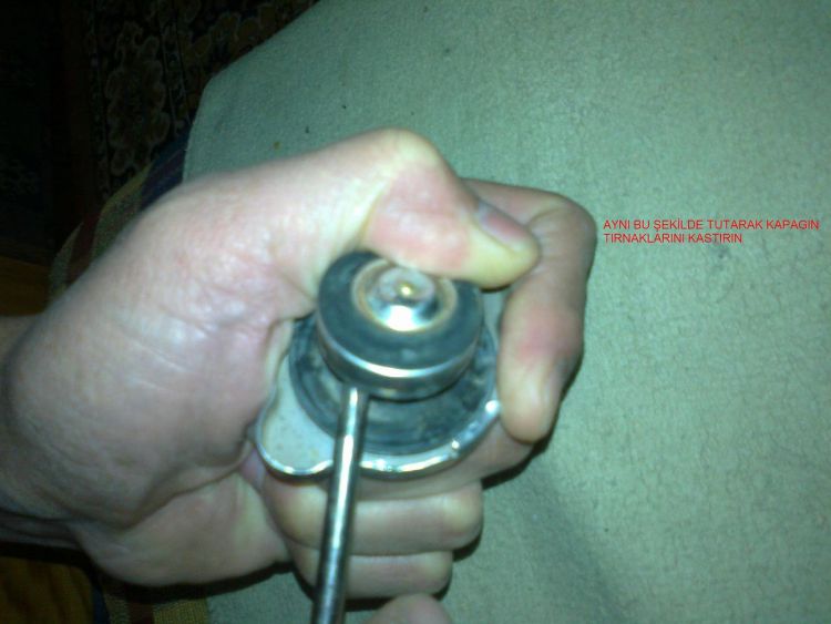 post-8198-141695296397_thumb.jpg