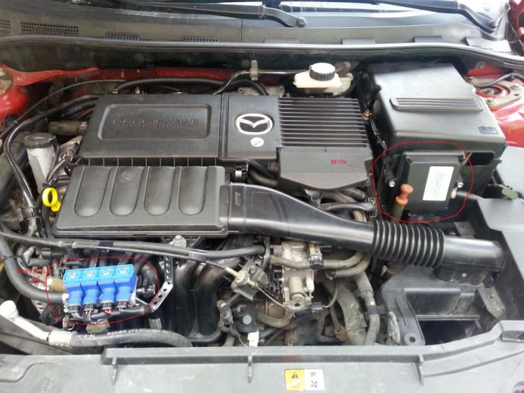 MAZDA LPG.jpg