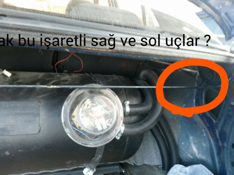 aviary-image-1479756262834.jpeg
