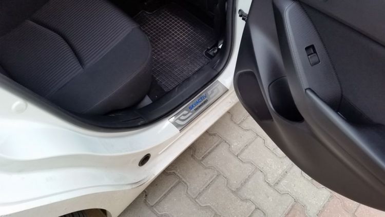 Devrim_DoorSillScuffPlate_20161204_161706.jpg